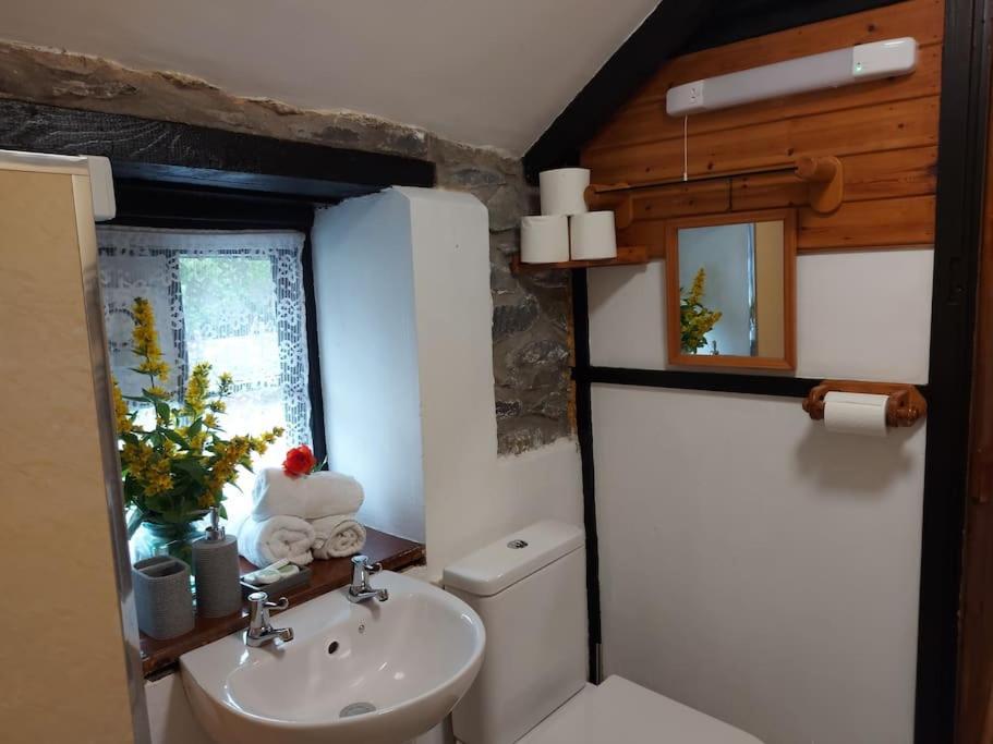 Holiday home Tan Y Bryn Llanrhystyd