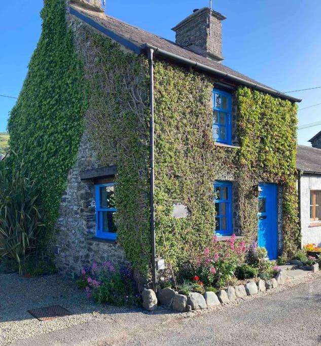 Holiday home Tan Y Bryn